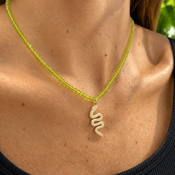 Collar Salvaje