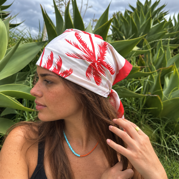 Pañoleta Palms