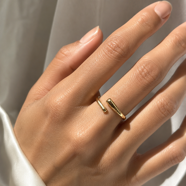Anillo dos almas ajustable