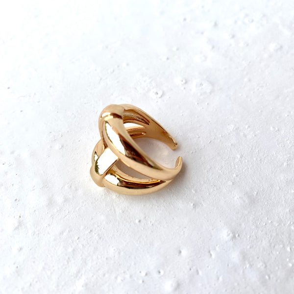 Anillo Monje
