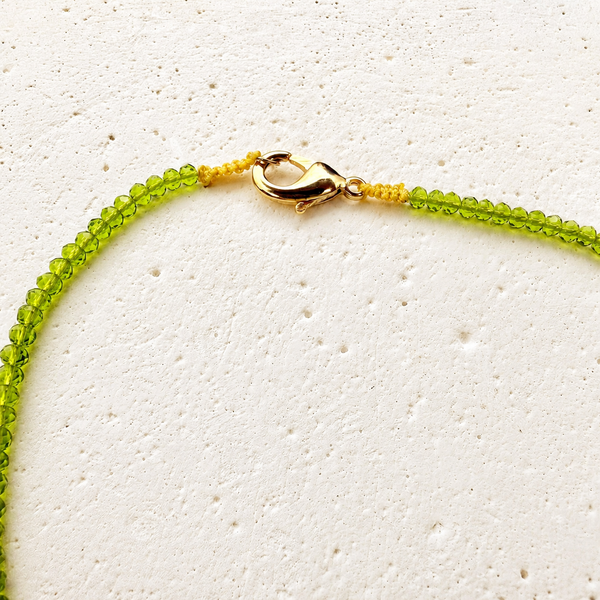 Collar Salvaje