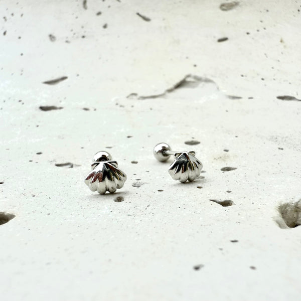 Topo de seguridad conchitas