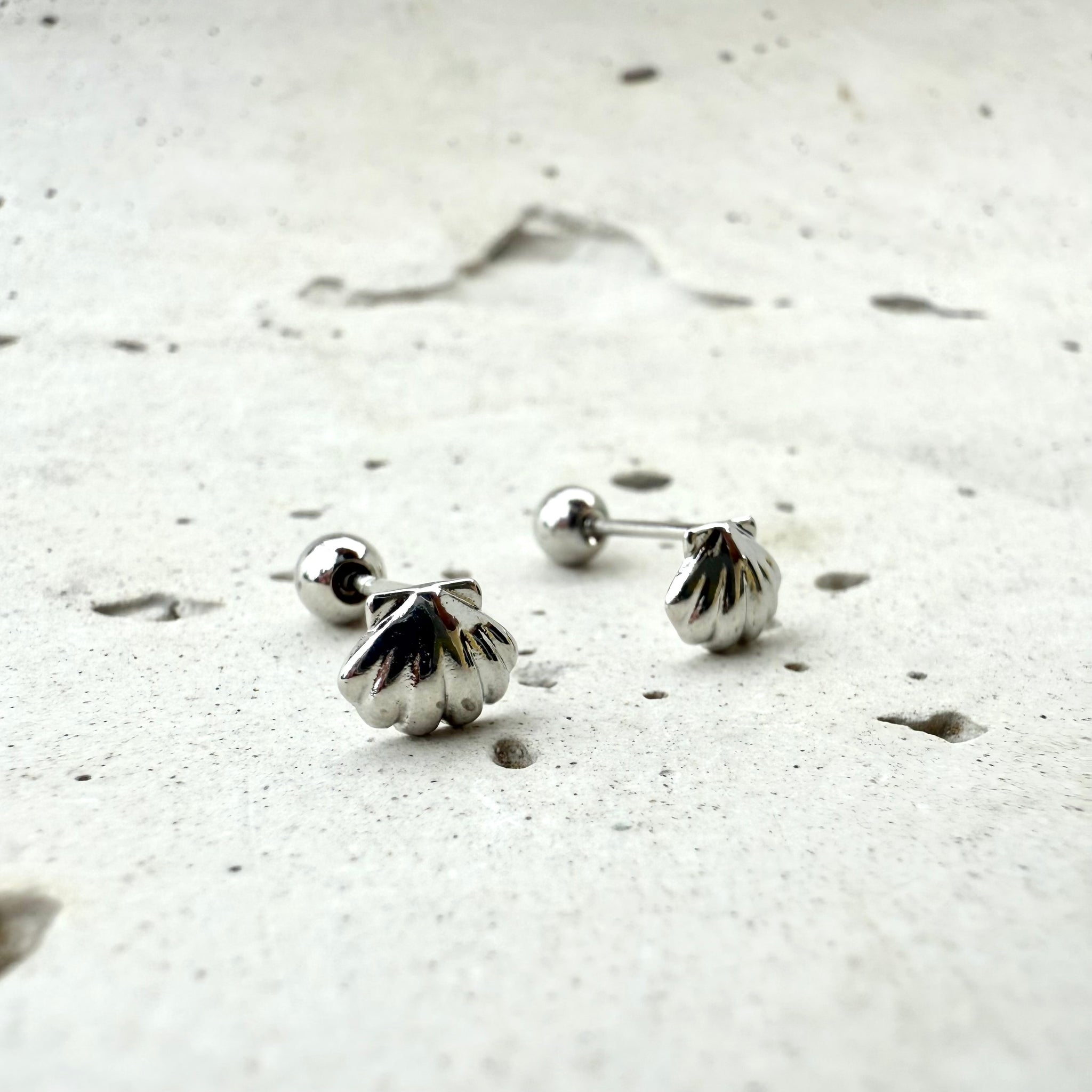 Topo de seguridad conchitas