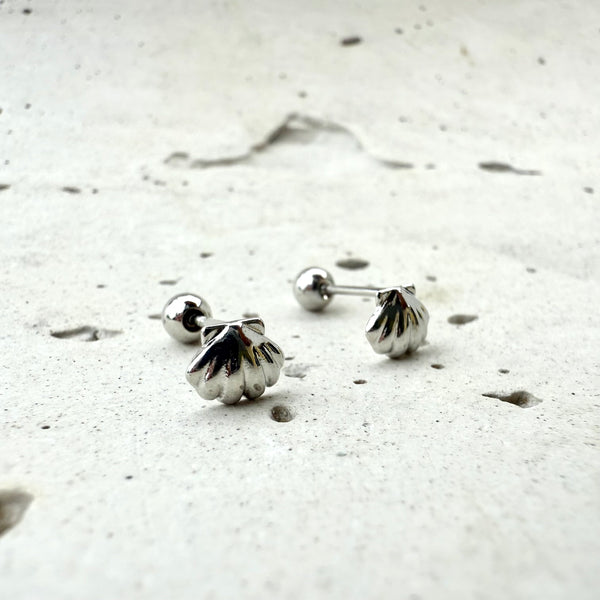 Topo de seguridad conchitas