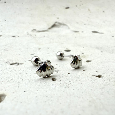 Topo de seguridad conchitas