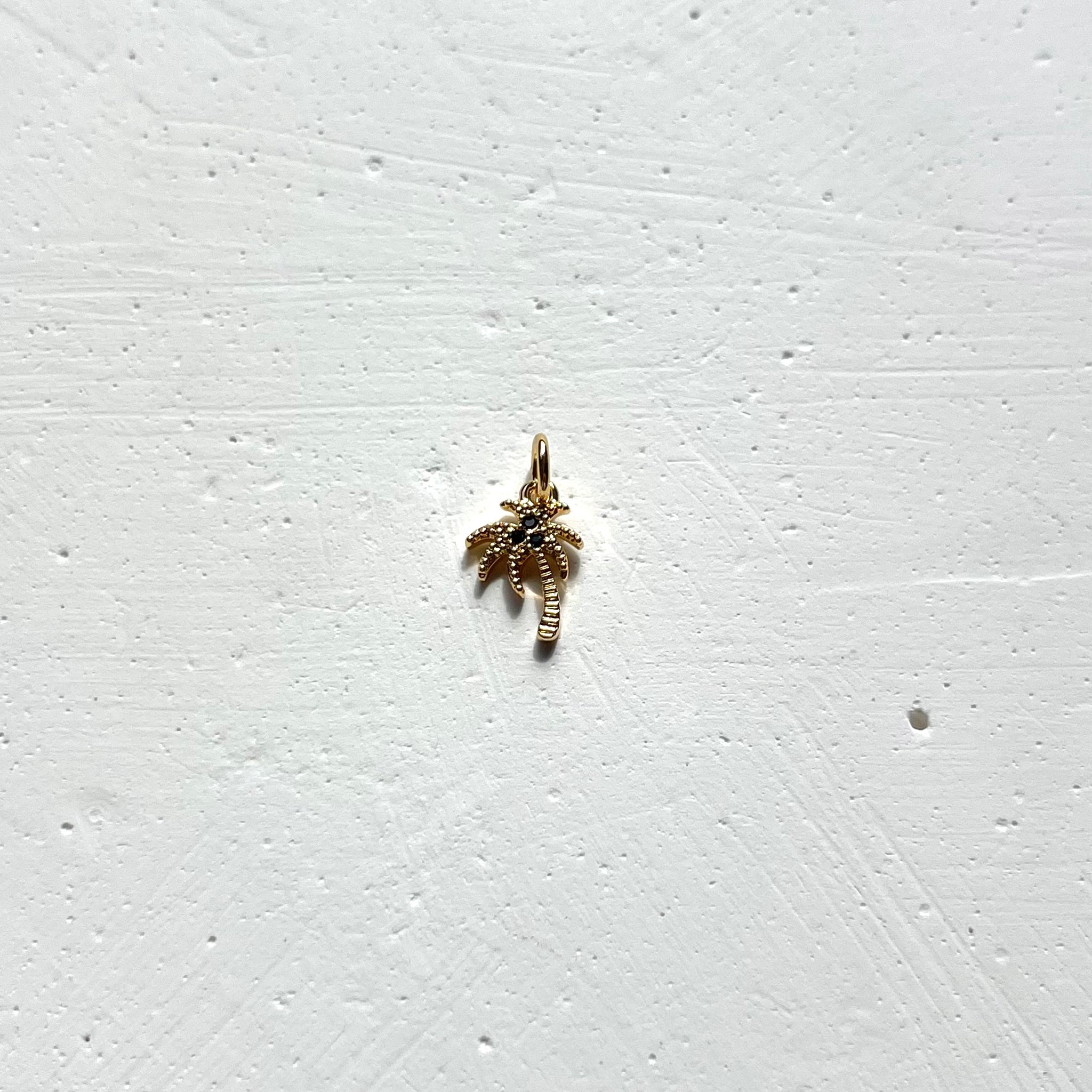 Dije Palmera Tutufritu