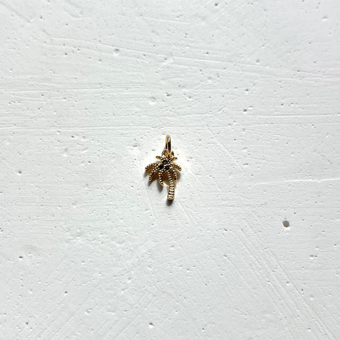 Dije Palmera Tutufritu