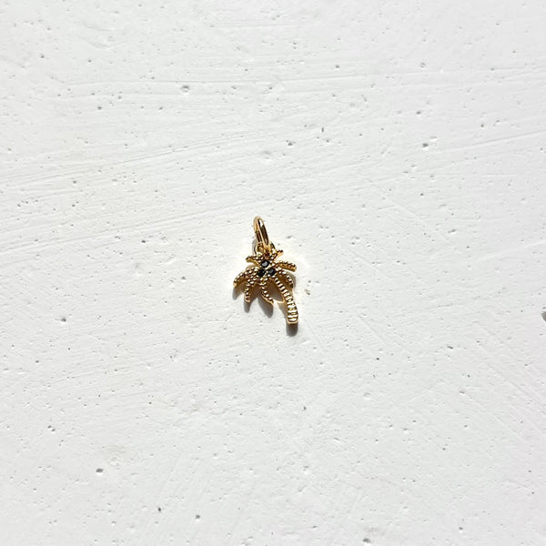 Dije Palmera Tutufritu