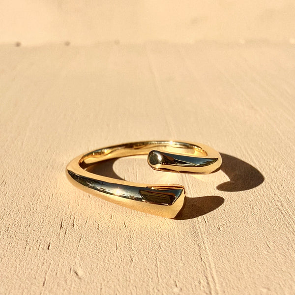 Anillo dos almas ajustable