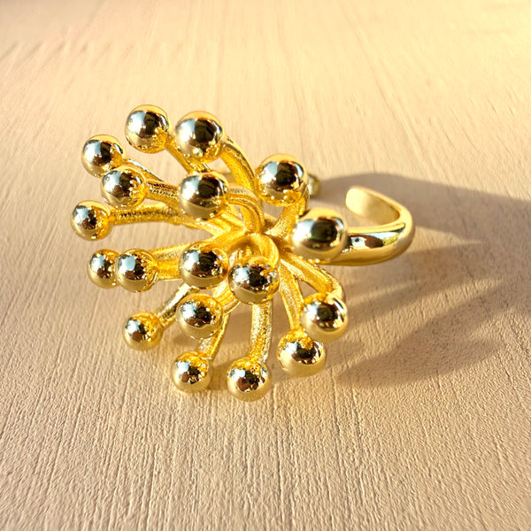 Anillo esperanza