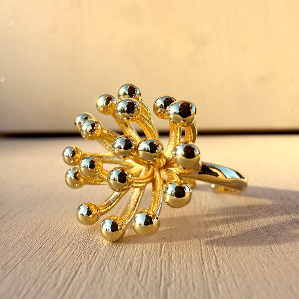 Anillo esperanza