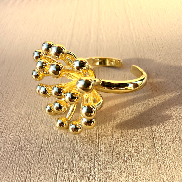 Anillo esperanza