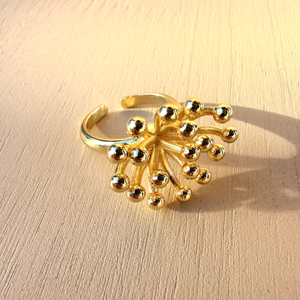 Anillo esperanza