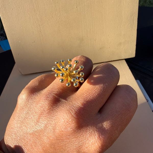 Anillo esperanza