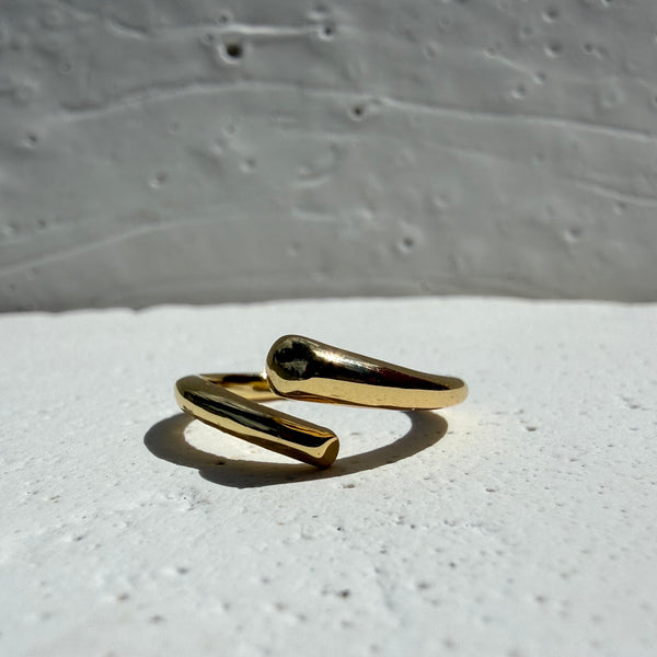 Anillo dos almas ajustable