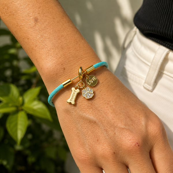 Pulsera Dog Lover - Cordón Aguamarina con Dijes Monedita Love Aro Perro Hueso Huellita Brillantes Rodio