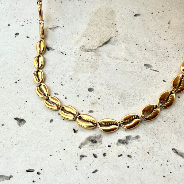 Collar dijes conchas en rodio